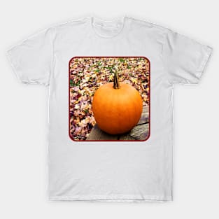Harvest Colors T-Shirt